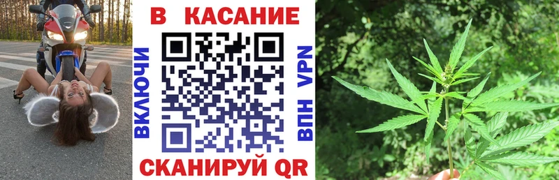 Как найти закладки Фрязино Альфа ПВП  Гашиш  Псилоцибиновые грибы  АМФЕТАМИН  блэк спрут ONION  Кодеин  Бошки Шишки  Кокаин 