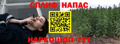 гидра Камышлов