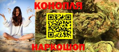 гидра Камышлов