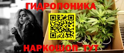 СК Канаш