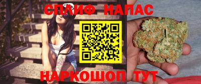 СК Канаш