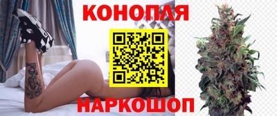 гидра Камышлов