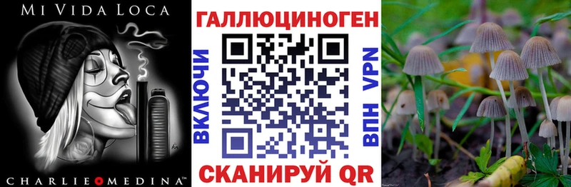 купить наркотик Фрязино Псилоцибиновые грибы Psilocybine cubensis