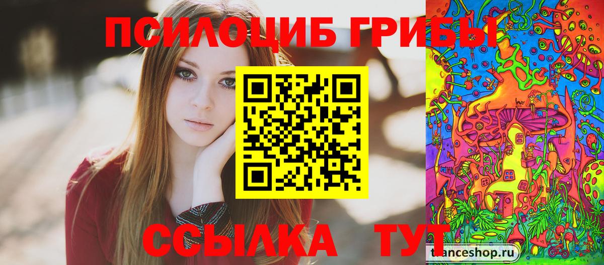 Галлюциногенные грибы Magic Shrooms  Вход с VPN  Фрязино  Галлюциногенные грибы Psilocybe 