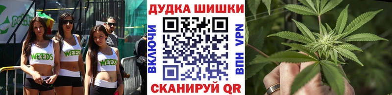 МАРИХУАНА план  где купить наркотик  Фрязино 
